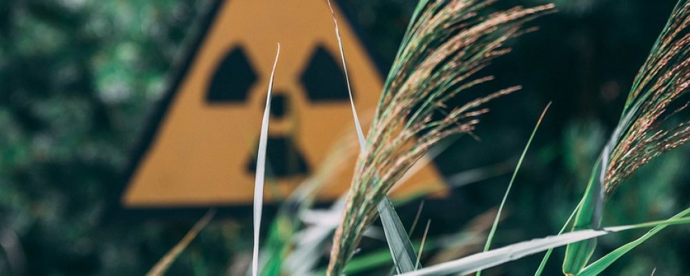 chernobyl, pripyat, ukraine, abandoned, stalker, radioactive, travel, russia, nuclear, slav, abandon, ussr, danger, derelict, urban, disaster, radiation, decay, gas mask, kiev, 1986 disaster, chernobyl accident, chernobyl disaster, chernobyl, chernobyl, chernobyl, chernobyl, chernobyl, radioactive, nuclear, radiation, radiation, radiation