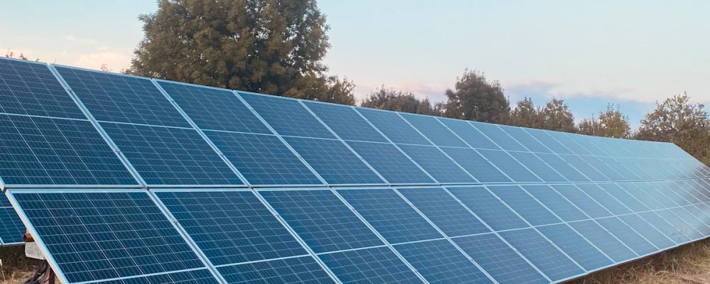Rows of solar panels in a field harness clean energy under a clear blue sky.